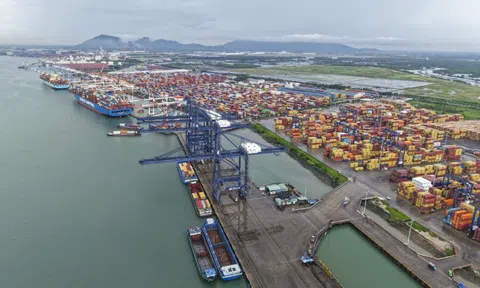 Khu thương mại tự do TP.HCM có bước tiến mới