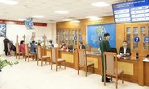 Vụ cụ bà 97 tuổi bị yêu cầu đến phường: Người dân cần một câu trả lời hay cần một lối đi?