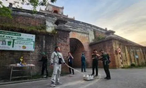 Dùng ra đa tìm hài cốt liệt sĩ hy sinh Tết Mậu Thân ở Huế