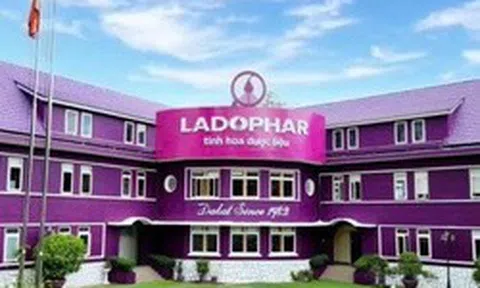 Ladophar bị xử phạt và truy thu thuế gần 1,6 tỷ đồng
