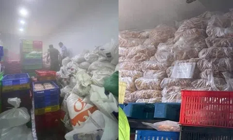 Phát hiện hơn 7 tấn chân gà đông lạnh quá hạn sử dụng
