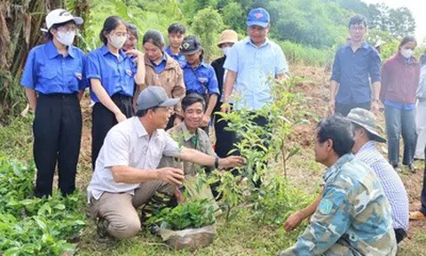 Một năm vận hành chính quyền hai cấp: Sự chuyển mình mạnh mẽ ở xã vùng cao Quảng Ngãi