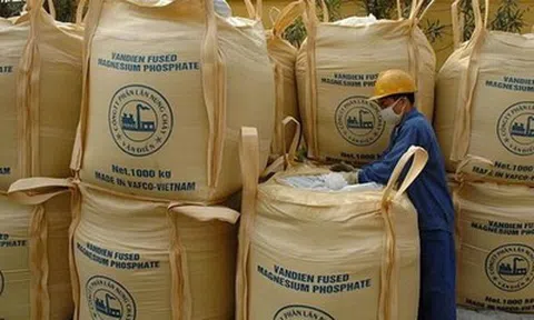 TGĐ Phân lân Văn Điển: Chưa xử lý được hết các kiến nghị của Kiểm toán Nhà nước