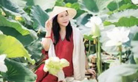 Mùa sen này bạn đã về Huế chưa?