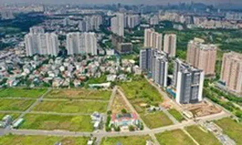 Chủ tịch UBND cấp xã ở TP.HCM có quyền cho phép chuyển mục đích sử dụng đất