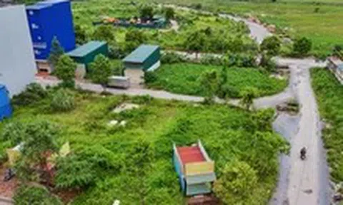 Đất đấu giá vùng ven Hà Nội bỏ trống nhiều năm, giá vẫn tăng gấp 3-4 lần