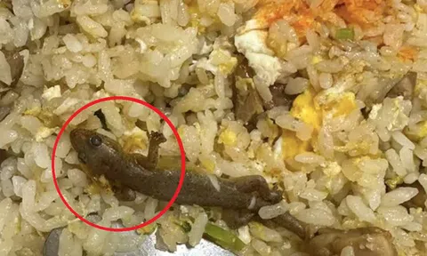 Đang ăn cơm rang, cô gái sốc khi thấy thứ "đáng sợ" trong đĩa