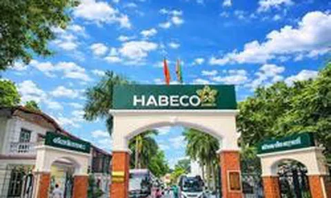 Công ty bia hơn 130 năm tuổi thu hàng chục tỷ đồng từ lãi tiền gửi, lợi nhuận quý II tăng 50%
