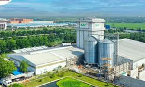 Doanh thu bứt phá, Baf Việt Nam vẫn báo lãi ròng quý II/2026 ‘bốc hơi’ 50%