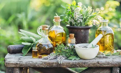 4 Loại tinh dầu thiên nhiên trị mụn hiệu quả mà bạn nên thử