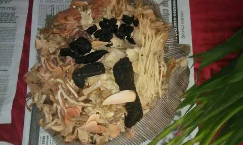 Kỳ 5: Đi tìm giá trị thực của bài thuốc bí truyền 5 đời cứu hàng ngàn người thoát kiếp tàn phế