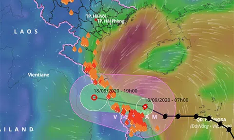 1 người chết, 1 người mất tích, 110 người bị thương do bão số 5