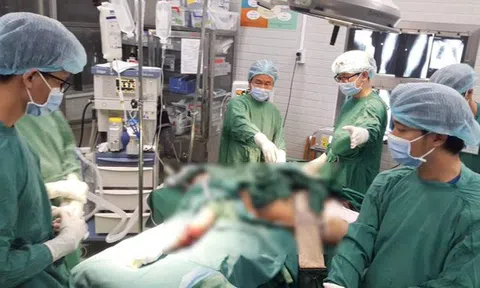 Người đàn ông bị cây đè trên đường Nguyễn Tri Phương qua đời