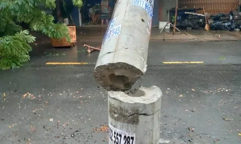 Nguyên nhân 600 cột điện dễ dàng bị 'hạ gục' trong 30 phút mưa bão