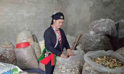 Cái kết viên mãn sau 11 năm long đong tìm thầy, tìm thuốc để có con