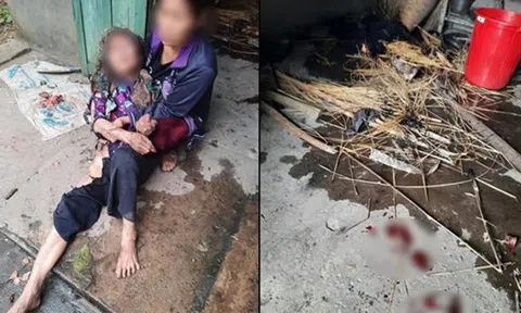 Đánh cụ già bất tỉnh, dùng rơm thiêu sống để cướp tài sản