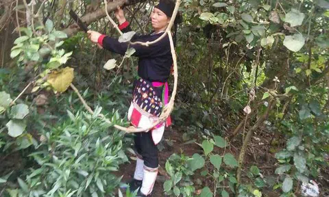 "Thần y" núi Tản hé lộ bài thuốc quý hiếm trị dứt bệnh xương khớp