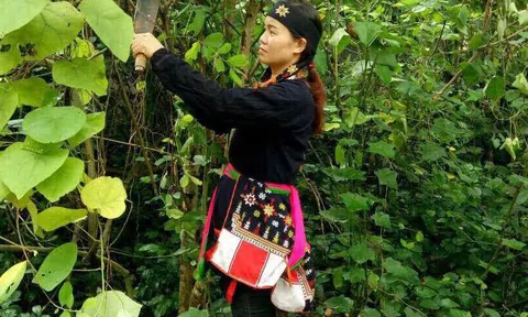 Nữ lương y "cứu tinh" của các cặp vợ chồng hiếm muộn