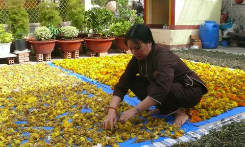 Mái nhà chung ấm lòng những phận đời nghèo mang trọng bệnh