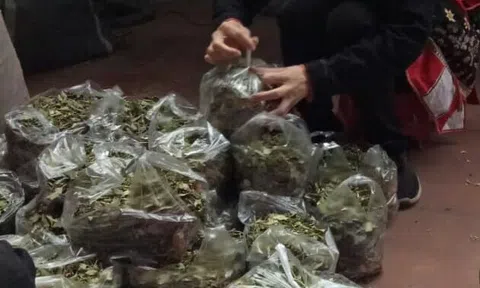 Tiết lộ người nắm giữ bài thuốc đẩy lùi bệnh trĩ của truyền nhân núi Tản