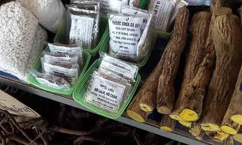 Mua dược liệu dễ như mua… rau, thật giả khó lường