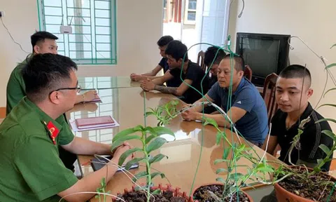 Biến tướng đa cấp, rửa tiền từ mua bán lan