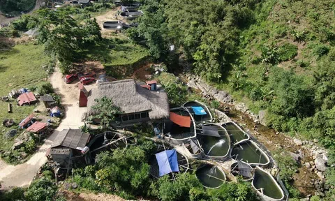 Độc đáo mô hình homestay kết hợp trại cá hồi ở Sa Pa